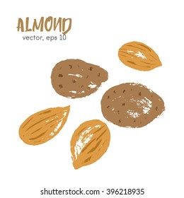 Sketched illustration of brazilian nut. Hand drawn brush food ingredient. Vector bio, eco icon, logo design template. Concept for organic products, harvest, healthy food, vegetarian, raw food diet. 