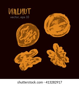 Sketched illustration of walnut bright on a dark background. Hand drawn brush food ingredient. Vector bio and eco icon, logo design template. Concept for healthy food.