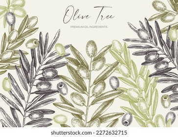 Sketched olive tree branches banner design. Hand-drawn fruit and leaves background in engraved style. Olive oil ingredients border template for print. Vegetable plant sketches in vintage colors