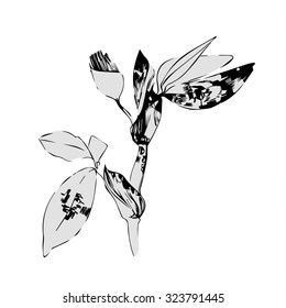 Sketched Plant