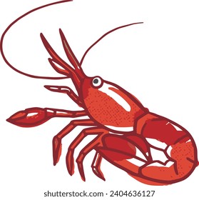 Sketched realistic shrimp vector illustration
