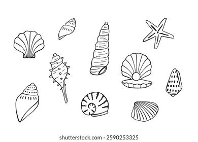 Sketched seashell icon set, vector hand drawn design elements.