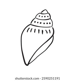 Sketched seashell icon, vector hand drawn design elements.