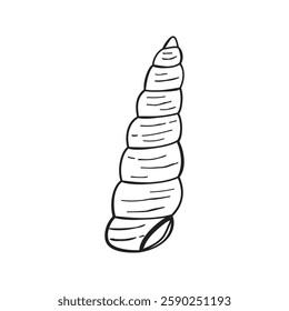 Sketched seashell icon, vector hand drawn design elements.