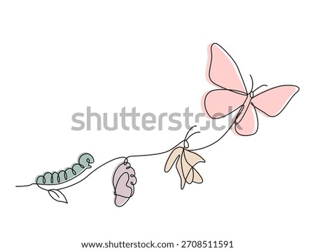 Sketched, single-line drawing. Vector illustration of the life cycle of a butterfly's birth. Transformation of a caterpillar into a butterfly. Flat line vector isolated on white background.