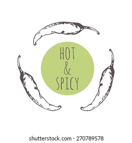 Sketched spicy chili pepper in vector. Background with place for text