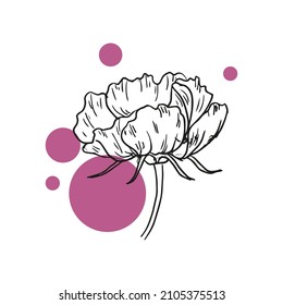 sketched spring and summer flower print in bright colors - isolated white or colorful background and hand drawing icon. valentines day with love