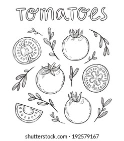 Sketched tomatoes hand drawn collection, vector illustration