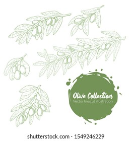 Sketched tree branch and olives bunch. Vector collection of olive elments solated on white background. Branch, leavse and olives hand drawn illustration