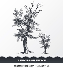 Sketched Trees. Hand drawn upper branches of tree. Forest symbol. Vector