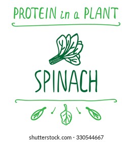 Sketched typographic elements of vegetarian natural products