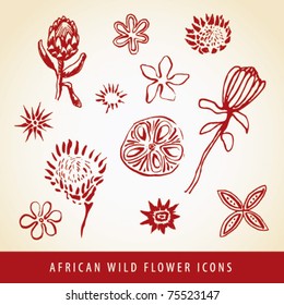 Sketched vector collection of African wild flower icons and illustrations