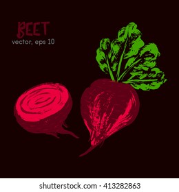 Sketched vegetable illustration of beet bright on a dark background. Hand drawn brush food ingredient. Vector bio and eco icon, logo design template. Concept for healthy food.