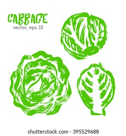 Sketched vegetable illustration of cabbage. Hand drawn brush food ingredient. Vector bio icon, logo design template. Concept for organic products, harvest, healthy food, vegetarian, raw food diet. 