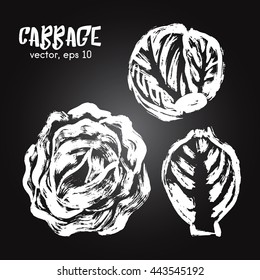 Sketched vegetable illustration of cabbage white on blackboard. Hand drawn brush food ingredient. Vector bio and eco icon, logo design template. Concept for healthy food.