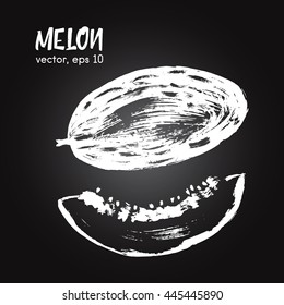 Sketched vegetable illustration of melon white on blackboard. Hand drawn brush food ingredient. Vector bio and eco icon, logo design template. Concept for healthy food.