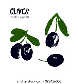 Sketched vegetable  illustration of olive. Hand drawn brush food ingredient. Vector bio eco icon, logo design template. Concept for organic products, harvest, healthy food, vegetarian, raw food diet. 