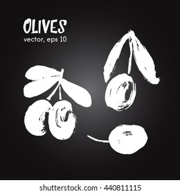 Sketched vegetable  illustration of olive white on blackboard. Hand drawn brush food ingredient. Vector bio and eco icon, logo design template. Concept for healthy food.