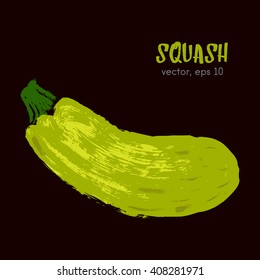 Sketched vegetable illustration of squash bright on a dark background. Hand drawn brush food ingredient. Vector bio and eco icon, logo design template. Concept for healthy food.