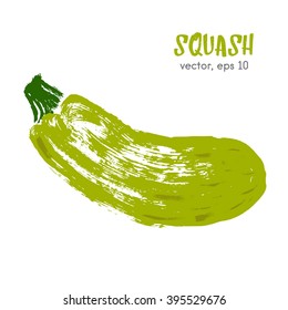 Sketched vegetable illustration of squash. Hand drawn brush food ingredient. Vector bio eco icon, logo design template. Concept for organic products, harvest, healthy food, vegetarian, raw food diet. 