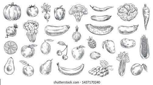 Sketched vegetables and fruits. Hand drawn organic food, engraving vegetable and fruit sketch. Healthy fresh vegetarian or vegan foods doodle. Vector illustration isolated symbols set