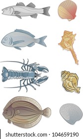 Sketches of animals used for fish dishes