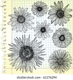 Sketches of blooms on squared paper - vector