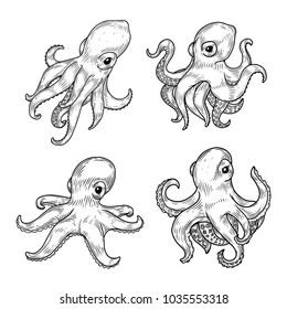 Sketches of cartoon baby octopus with tentacle and suction cups. Set of isolated underwater kid squid or ocean, sea spineless octopoda mascot or cephalopod tattoo. Marine and nature, aquarium theme