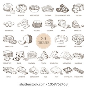 Sketches of cheese types. Gouda and burrata, cheddar and radamer, ricotta and roquefort, mozzarella and maasdam, feta and juustoleipa, camembert and edam, colby-jack. Vegetarian food