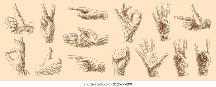 Sketches collection of hand gestures, signs and symbols using fingers. Vintage images, hand-drawn, vector. Gestures: pointer, class, o'key, peace, cool, one, two, three, four, five.
