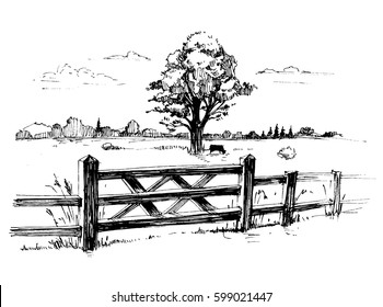 Sketches of countryside with a large tree and a wooden fence. Hand drawn illustration converted to vector.