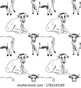 sketches of cows seamless pattern drawn by hand. livestock. cattle. animal grazing