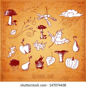 Sketches of cute autumn symbols in vintage style Vector illustration.