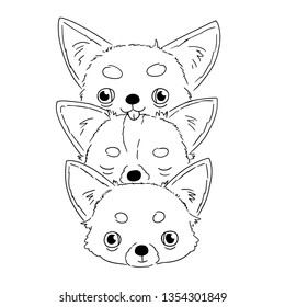 Sketches of cute heads of chihuahua on white background. Vector illustration of hand drawn doggies in funny situation. Animal sketches.