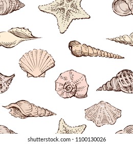 Sketches of the different sea shells