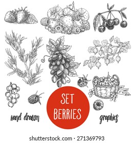 Sketches and engravings berries composition. Set of hand drawn berries and fruits,  vintage sketch style illustration.