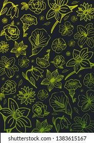 Sketches of flowers on a dark background. Floral banner. Vector illustration