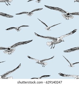 sketches of the flying gulls