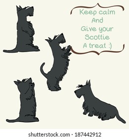 Sketches of four cute Scottish terriers in different poses. Hand drawn cartoon dogs begging for a treat.