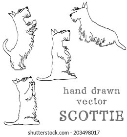 Scottie Dog Images Stock Photos Vectors Shutterstock