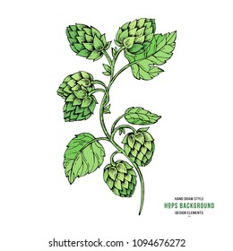 Sketches hop on a branch with leaves in engraving style. Hops elements for packing, pattern, beer illustration.