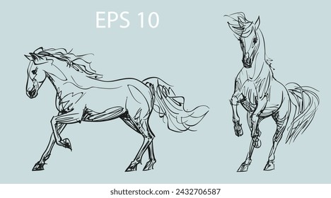 Sketches of horses. Two in one. Unique vector illustrations. The illustration shows two independent drawings. Authentic drawings. A set of hand-drawn sketches. Objects are isolated.