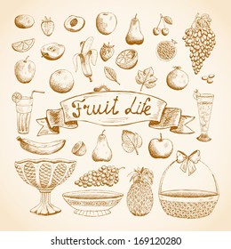 Sketches of juicy fresh fruits orange, grape, apple, strawberry, cherry and others vector illustration