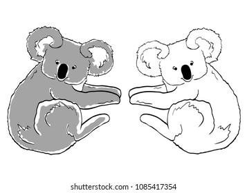 Sketches of koalas on white background. Gray koala line art.