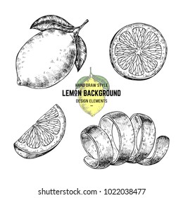 Sketches of lemon or lime. Hand drawn vector illustration lemon in engraving style. Citrus illustration elements. Isolated on white background. Lemon illustration print for packaging, pattern, label.