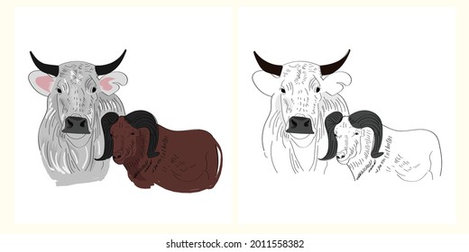 sketches Line of cows drawn by hand digital.  sketch animal vector illustration