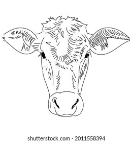 sketches Line of cows drawn by hand digital.  sketch animal vector illustration
