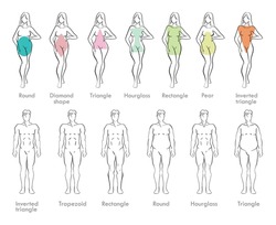 Male Body Shapes Set Vector & Photo (Free Trial)