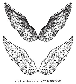 Sketches of mythological angel and demon wings