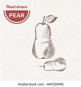 Sketches pear composition. Hand drawn pear. Vintage sketch style illustration.